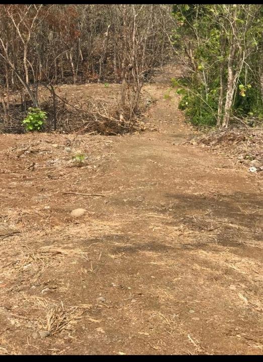 LAND 32 587 m2 - in Esterillos Oeste - photo 2