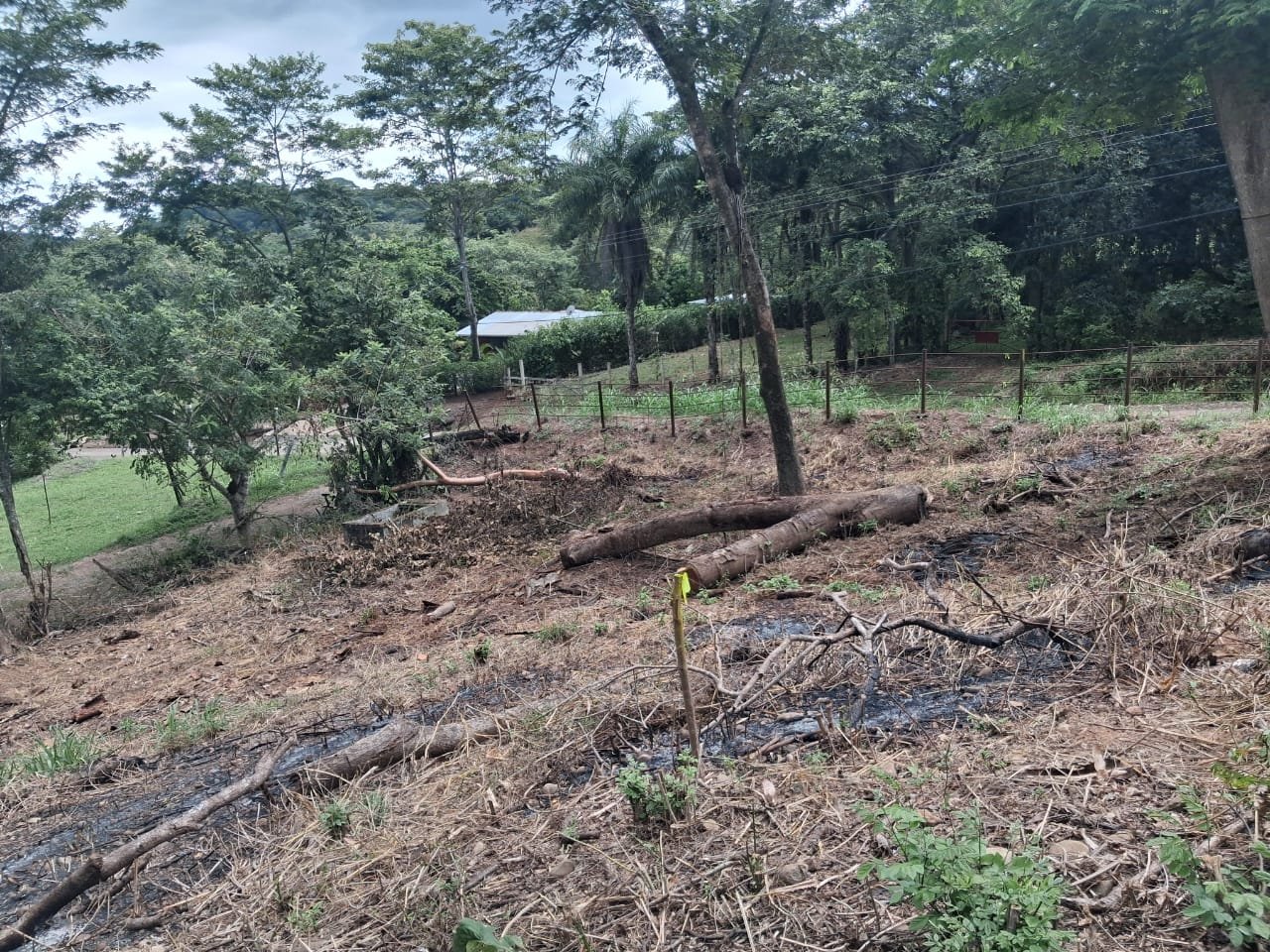 SUPER PRICE - Land 500 m2 - photo 2