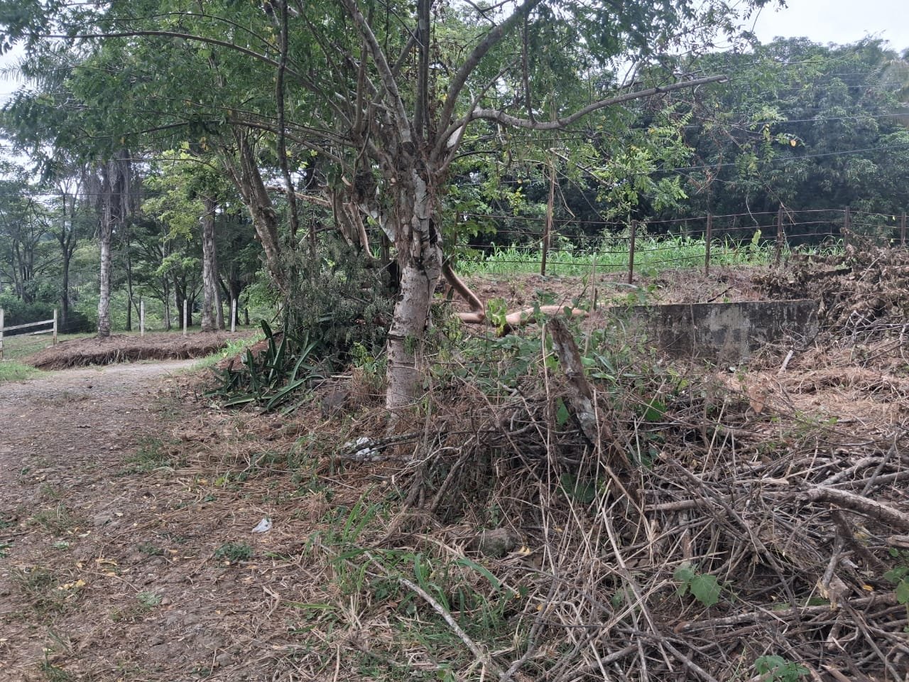 SUPER PRICE - Land 500 m2 - photo 3