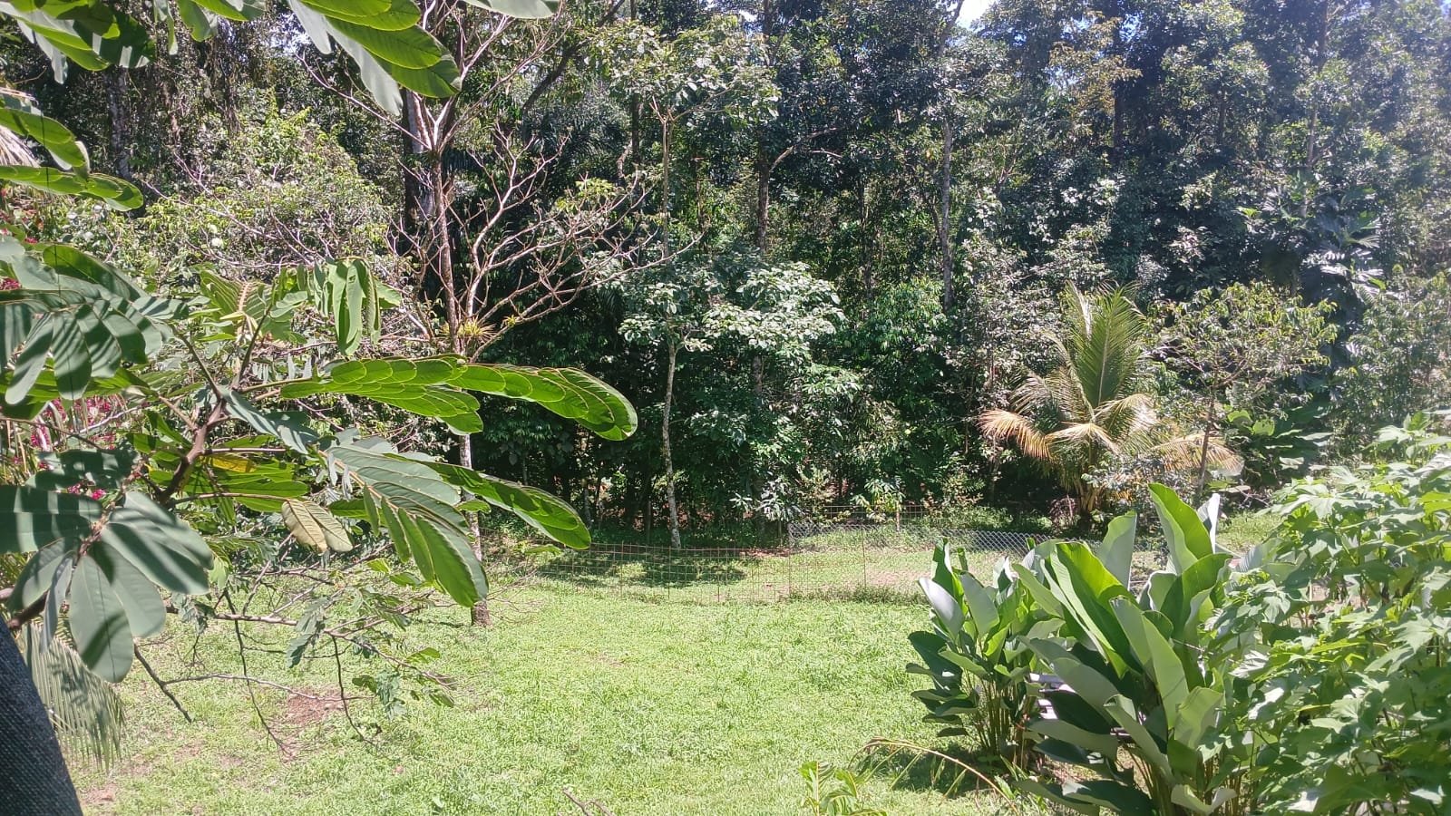 OPORTUNITY - 900m2 - Bijagual - photo 1