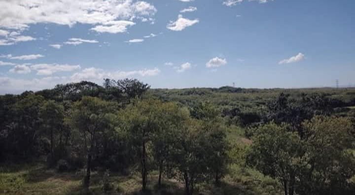 LAND 28 HECTARES – Oricuajo, San Mateo - photo 8