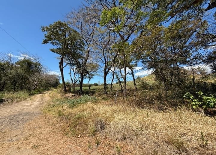 LAND 28 HECTARES – Oricuajo, San Mateo - photo 9