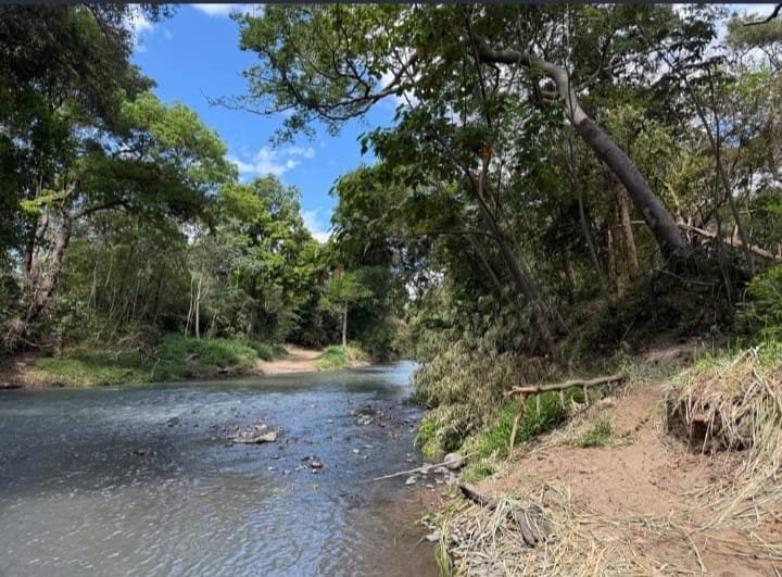 LAND 28 HECTARES – Oricuajo, San Mateo - photo 10