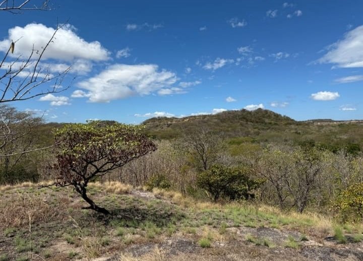 LAND 28 HECTARES – Oricuajo, San Mateo - photo 17