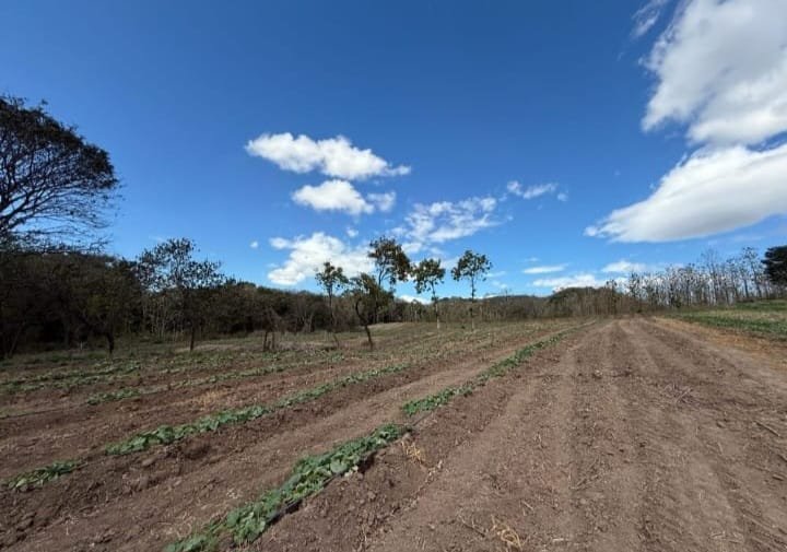 LAND 28 HECTARES – Oricuajo, San Mateo - photo 2