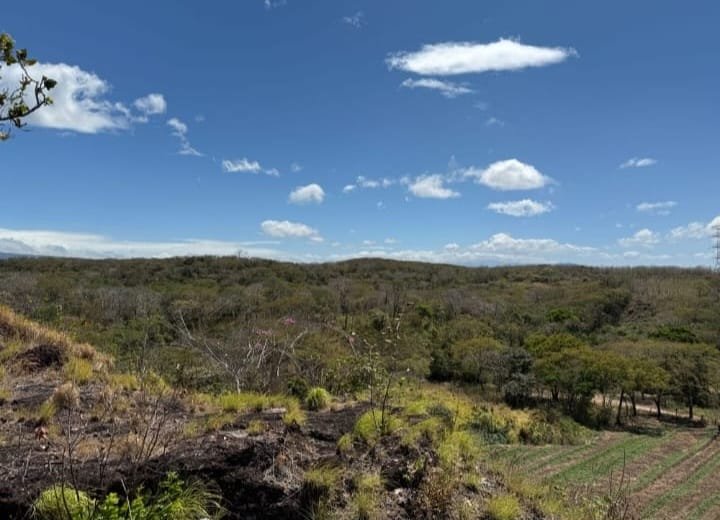 LAND 28 HECTARES – Oricuajo, San Mateo - photo 3