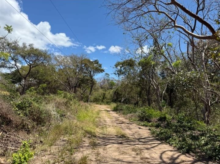 LAND 28 HECTARES – Oricuajo, San Mateo - photo 6