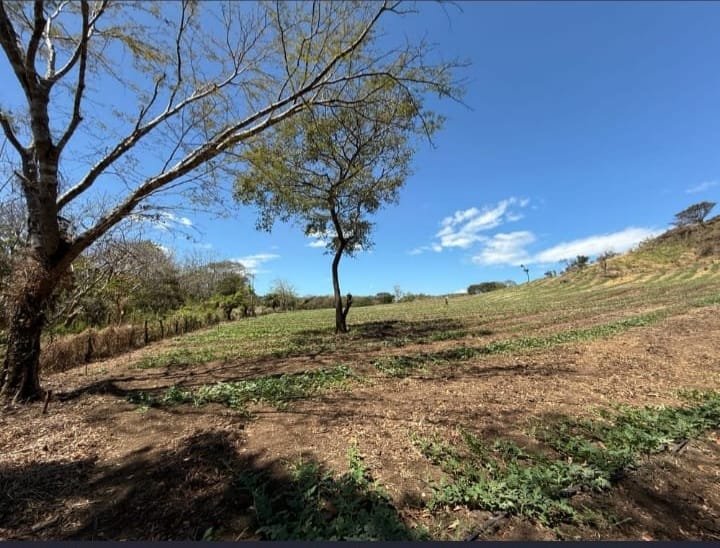 LAND 28 HECTARES – Oricuajo, San Mateo - photo 7
