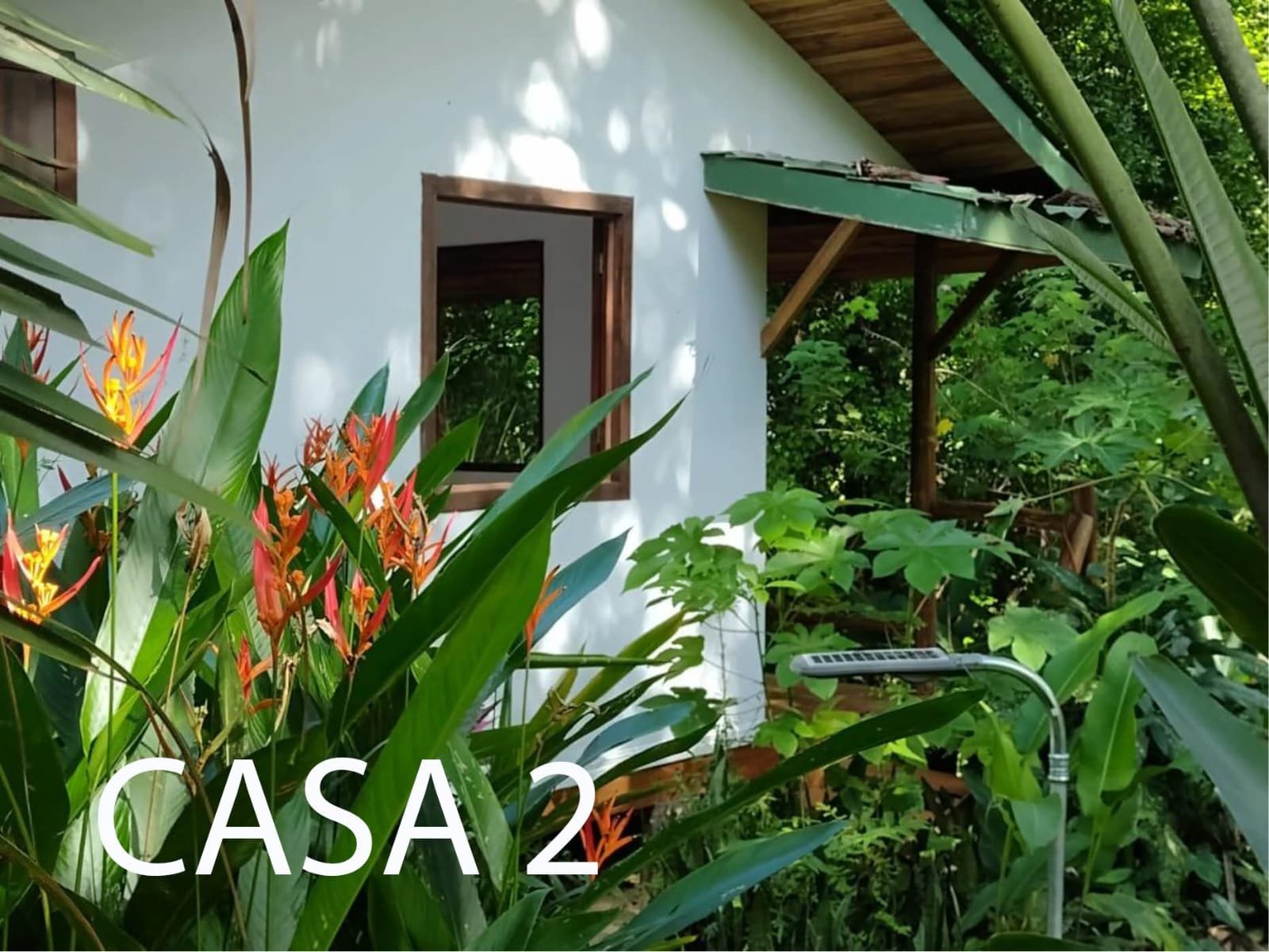 PROPERTY  3 HOUSES & Swimming  Pool - 2 200 m² – Montezuma, Puntarenas COSTA RICA in Montezuma - photo 9