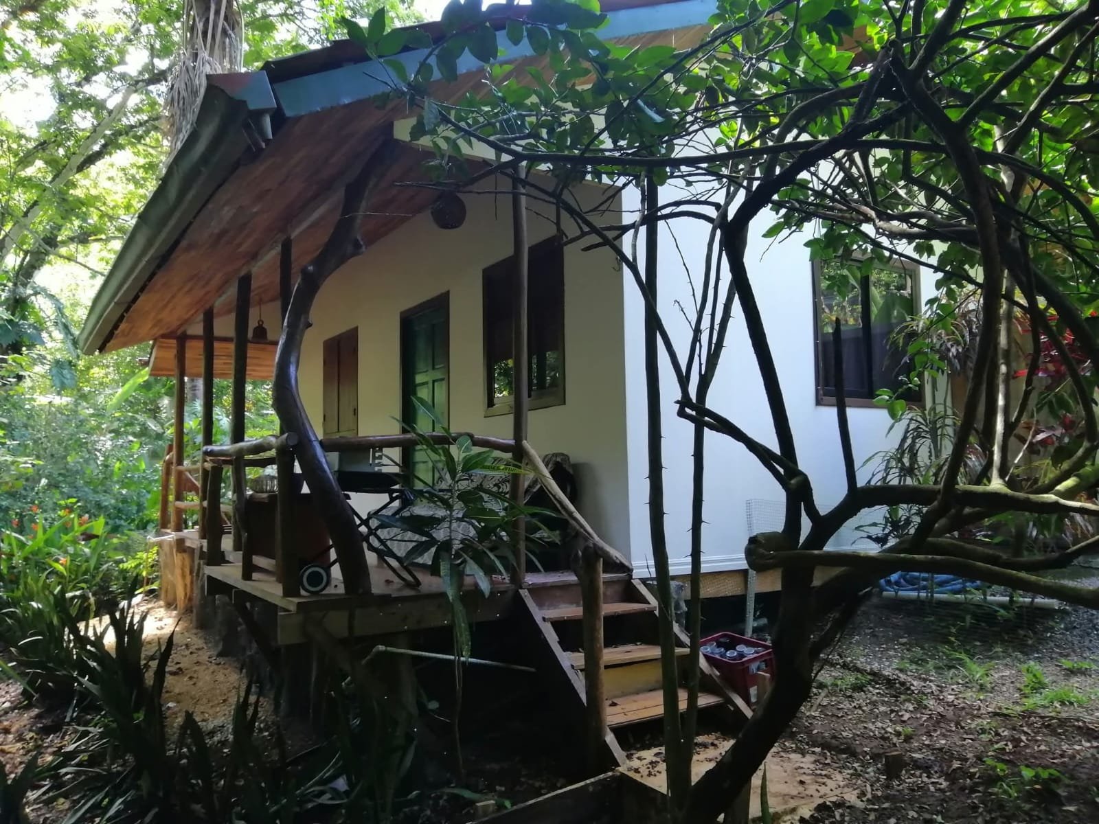 PROPERTY  3 HOUSES & Swimming  Pool - 2 200 m² – Montezuma, Puntarenas COSTA RICA in Montezuma - photo 10