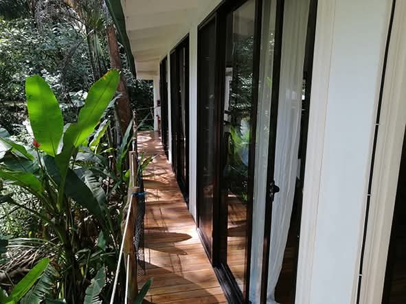 PROPERTY  3 HOUSES & Swimming  Pool - 2 200 m² – Montezuma, Puntarenas COSTA RICA in Montezuma - photo 16