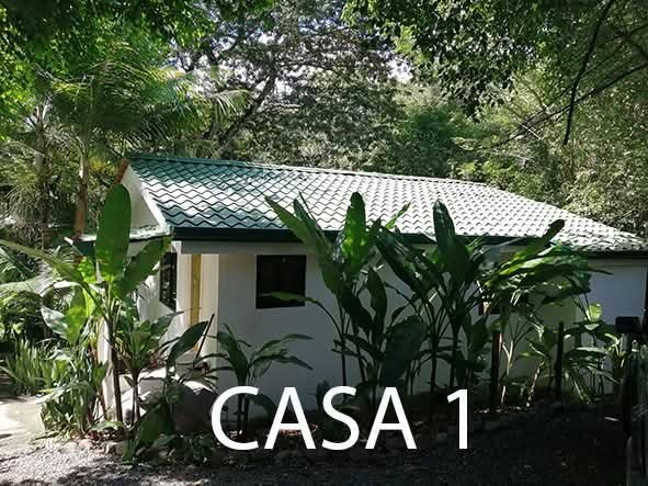 PROPERTY  3 HOUSES & Swimming  Pool - 2 200 m² – Montezuma, Puntarenas COSTA RICA en Montezuma