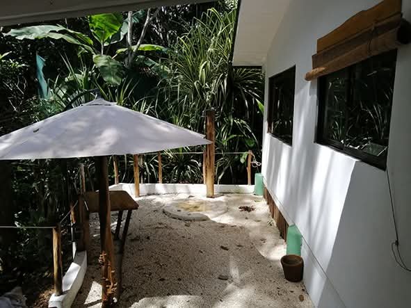 PROPERTY  3 HOUSES & Swimming  Pool - 2 200 m² – Montezuma, Puntarenas COSTA RICA in Montezuma - photo 21