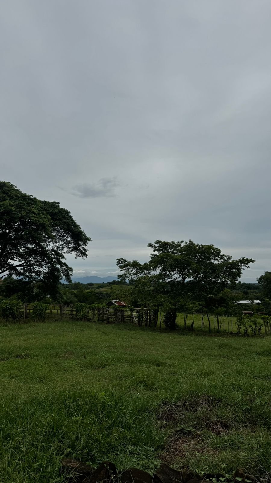 FRUIT TREES  - LAND 5 000m2 - Oricuajo San Mateo - photo 1
